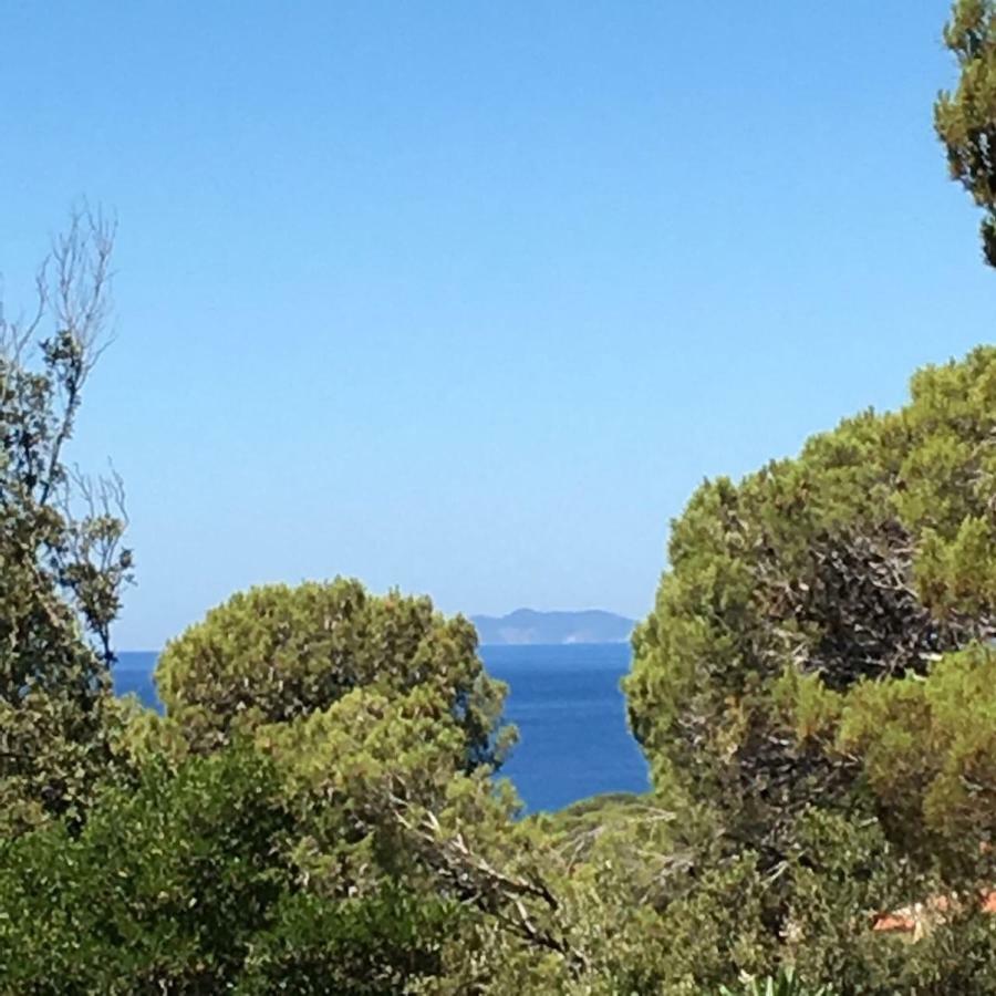 Apartament Casa Al Mare Livorno Quercianella Zewnętrze zdjęcie