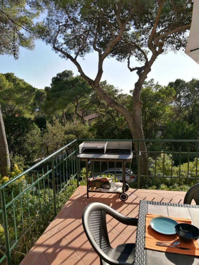 Apartament Casa Al Mare Livorno Quercianella Zewnętrze zdjęcie